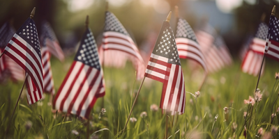 Veterans Day Weekend