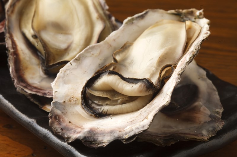 Hatteras Island Oyster Roast Event at the Cape Hatteras / Outer Banks