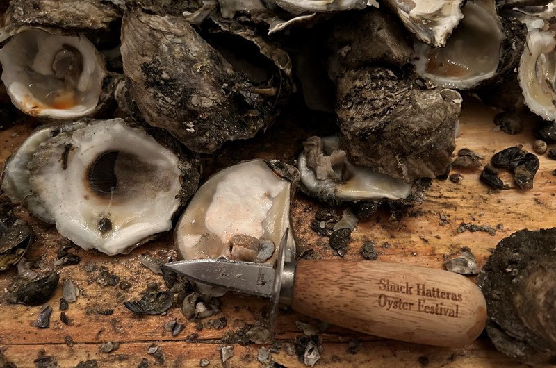 Shuck Hatteras III Oyster Festival Photo