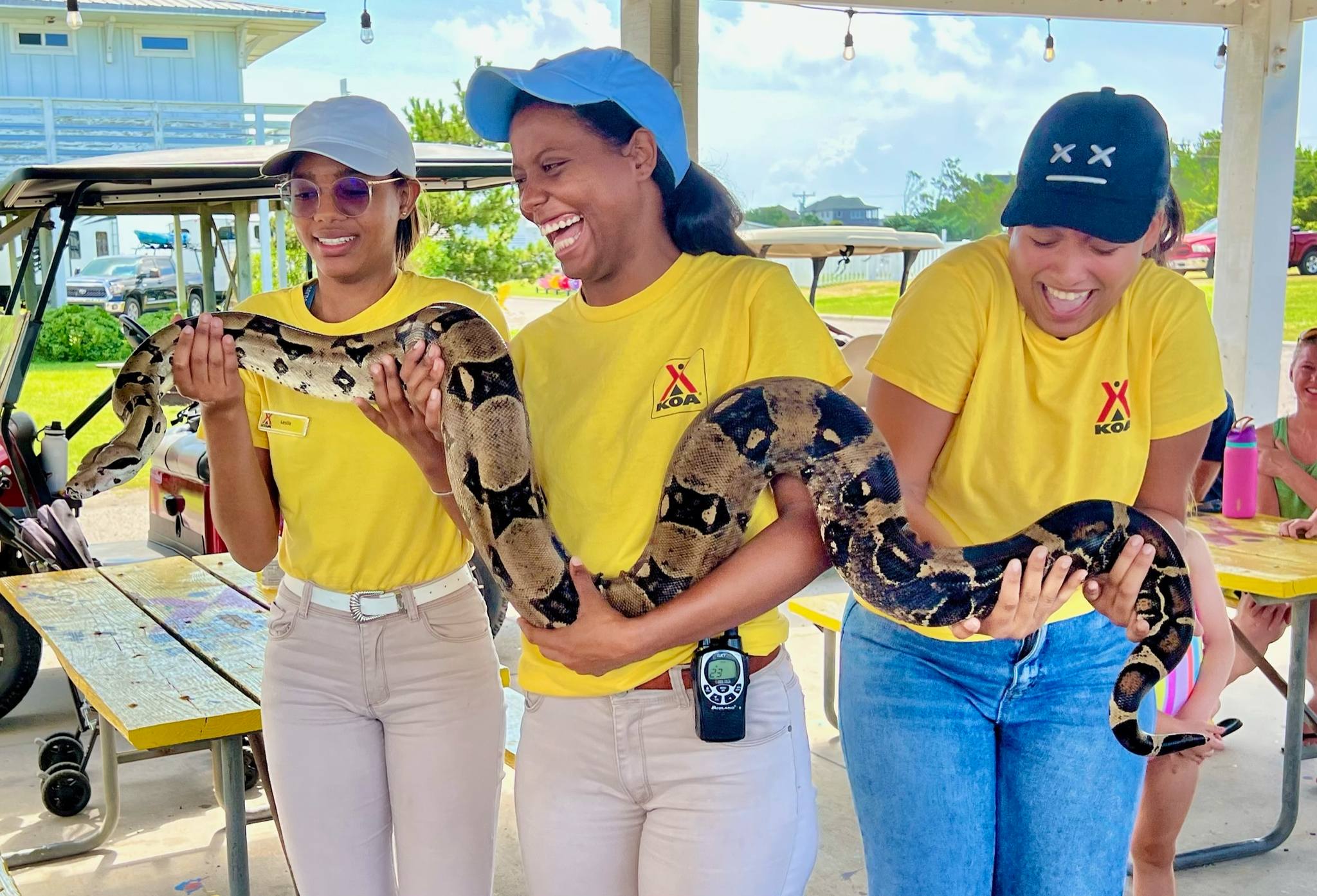 Snakes, Lizards & Frogs - Oh My! Photo
