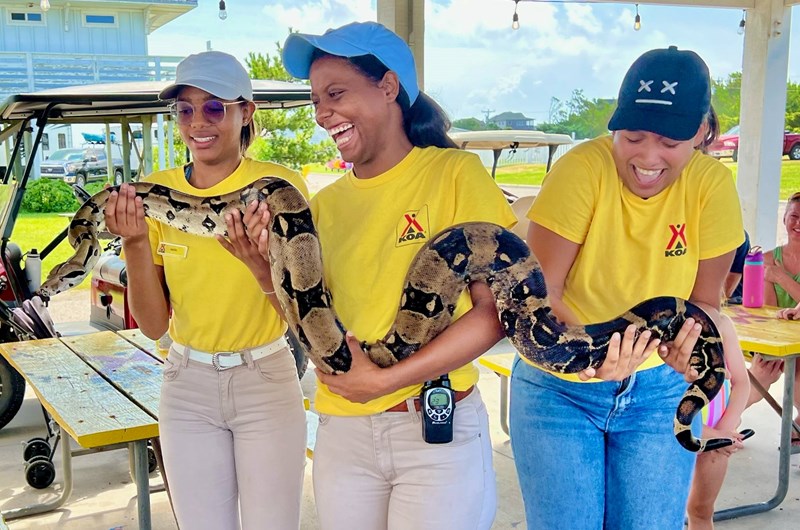 Snakes, Lizards & Frogs - Oh My! Photo