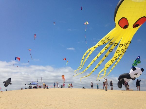 Annual Rogallo Kite Festival Photo