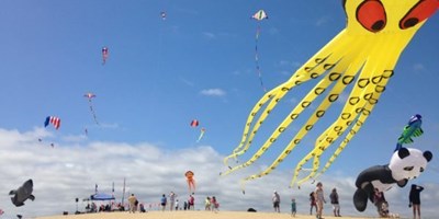 Annual Rogallo Kite Festival