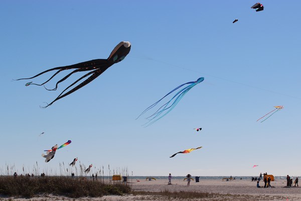 Outer Banks Kite Festival Photo