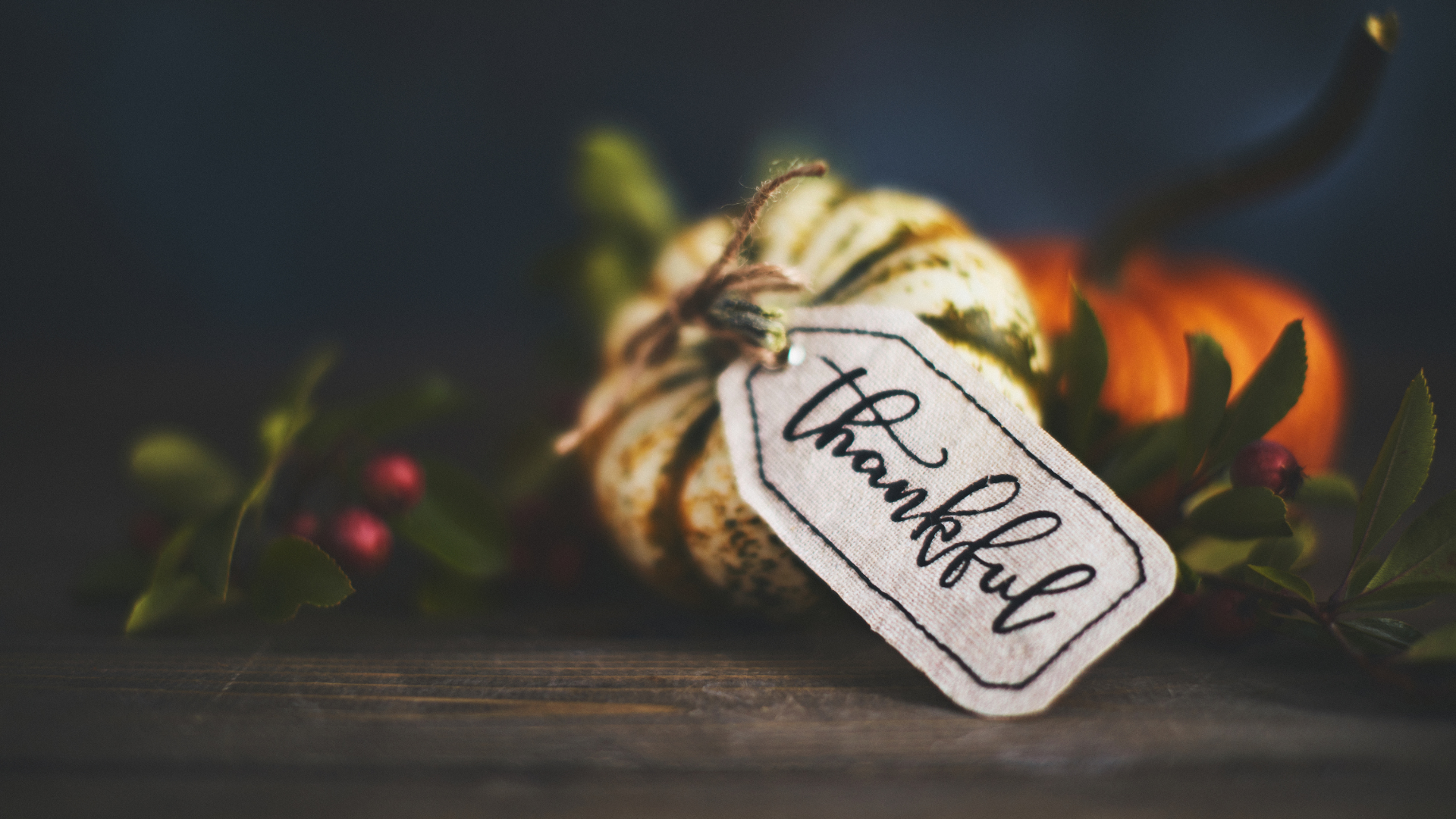 Thankful by the Tide Photo