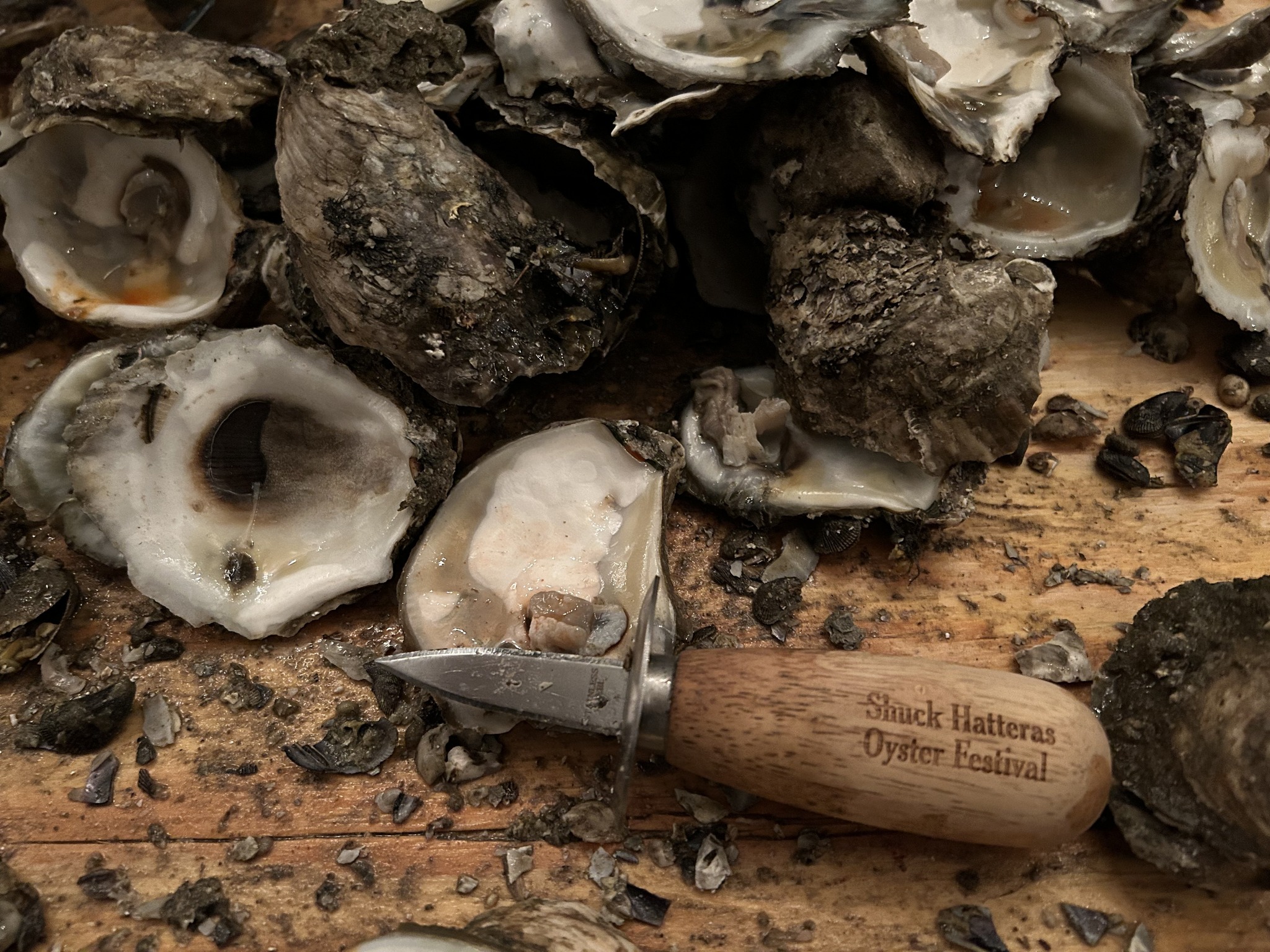 Shuck Hatteras V Oyster Festival Photo
