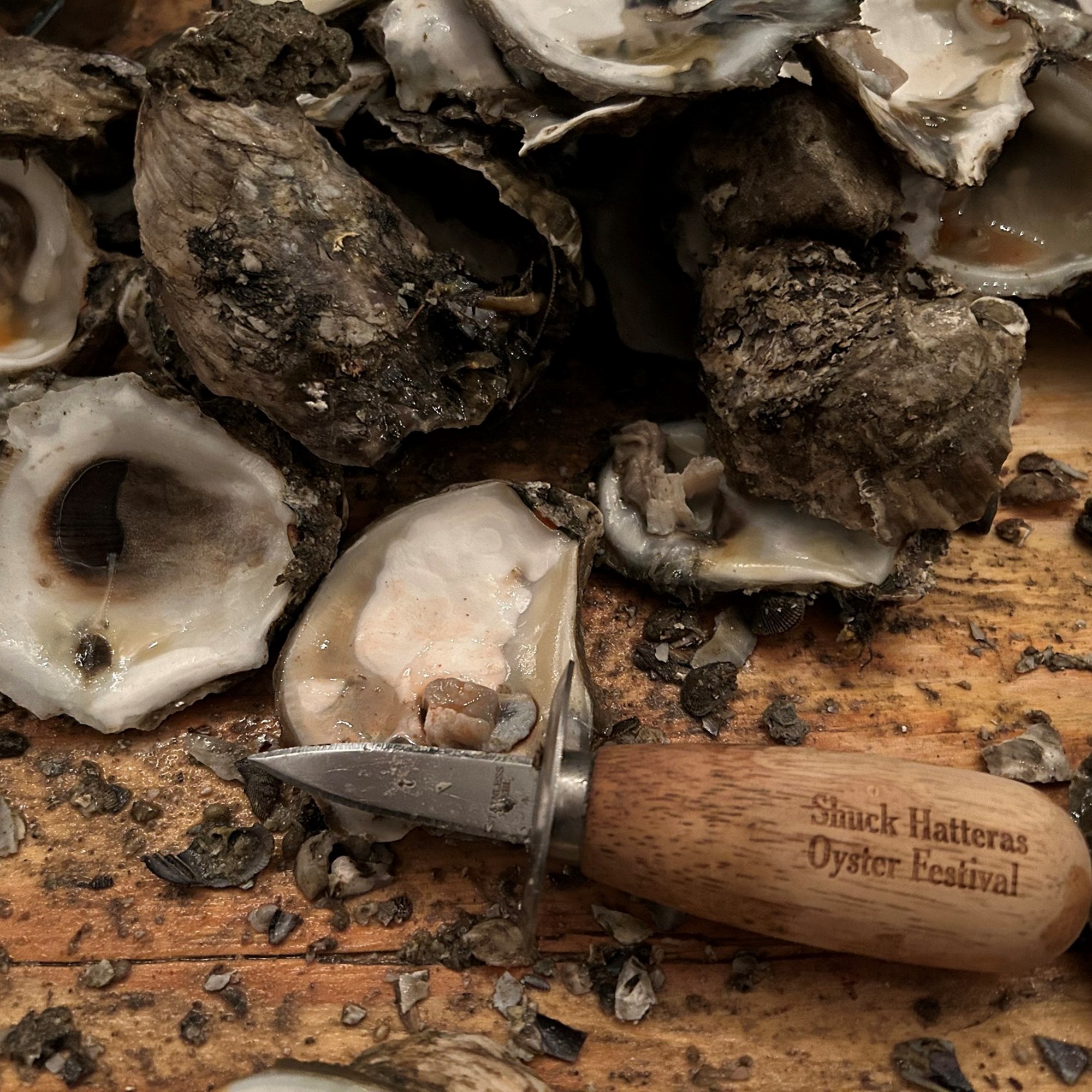 Shuck Hatteras V Oyster Festival Photo