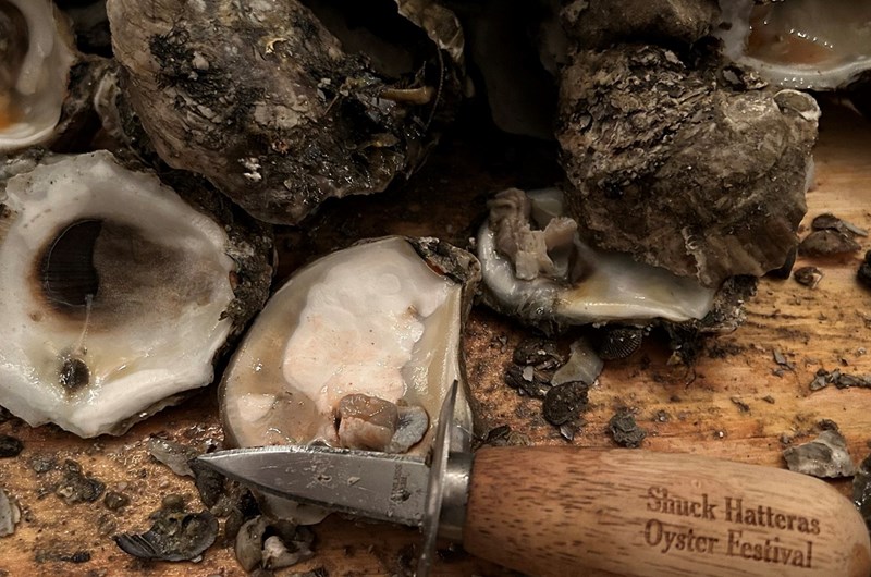 Shuck Hatteras V Oyster Festival Photo