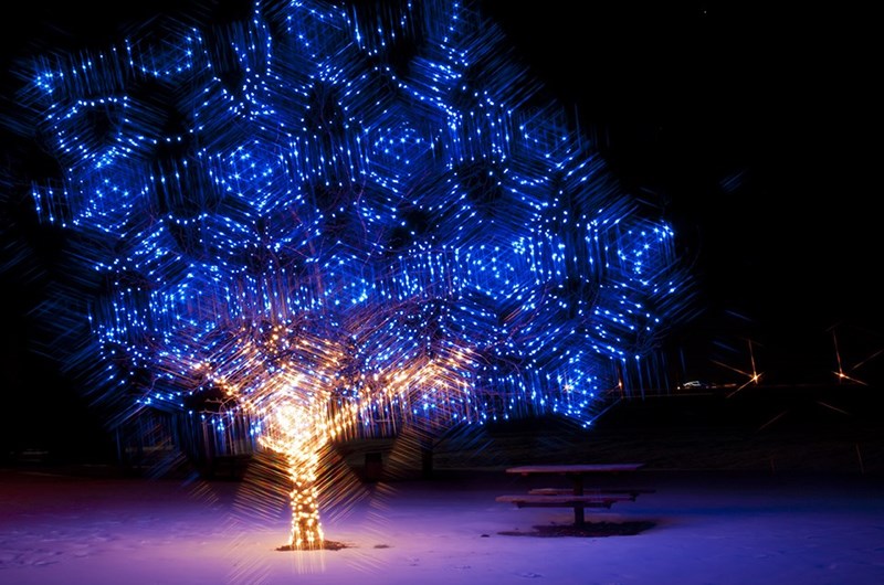 Winter Lights Grand Illumination Sponsored by Southern Bank Photo