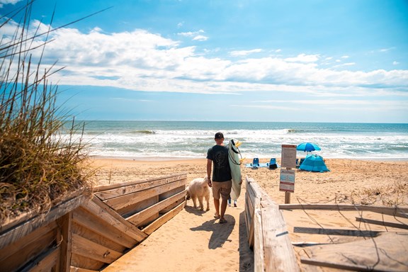 Plan a trip to Windsor, North Carolina
