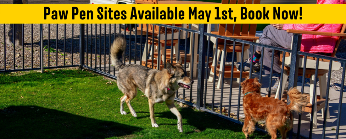NEW Paw Pen Sites with shade shelter for the pets and for the humans.  
*The picture shown is an example of a site type category and may not be the actual site reserved.
