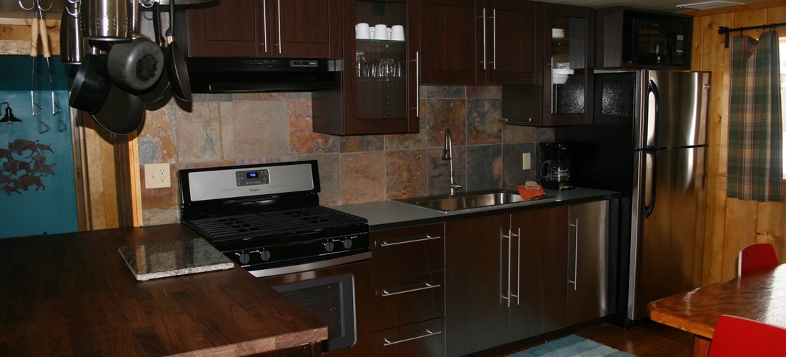 Fully equipped and modern kitchen contrast with the rustic log cabin