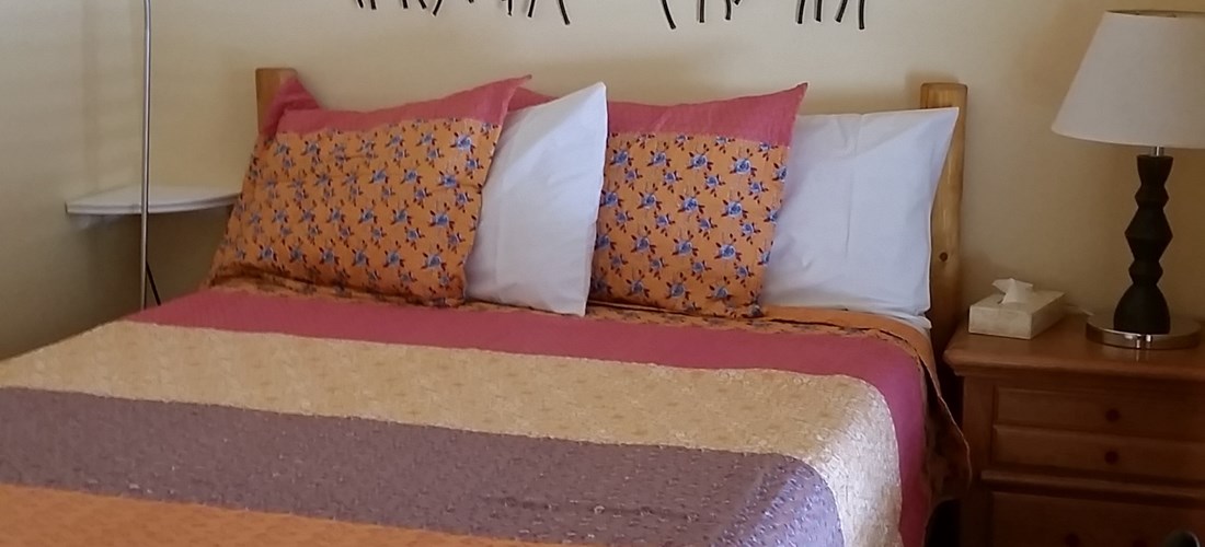 Front bedroom offers a comfy new log queen bed.