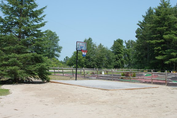 Basketball Net