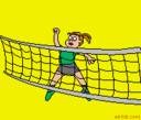 Horsehoes, Volleyball and Baseball