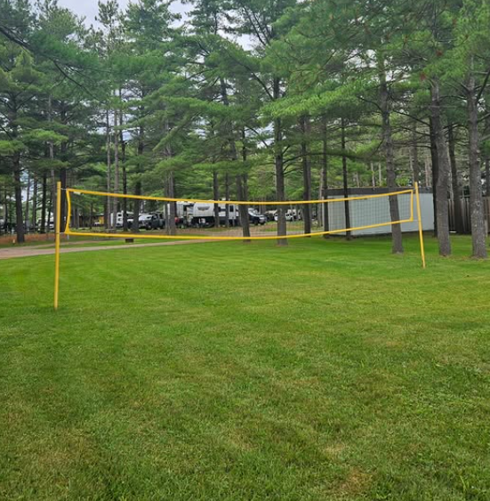 Volleyball and Baseball