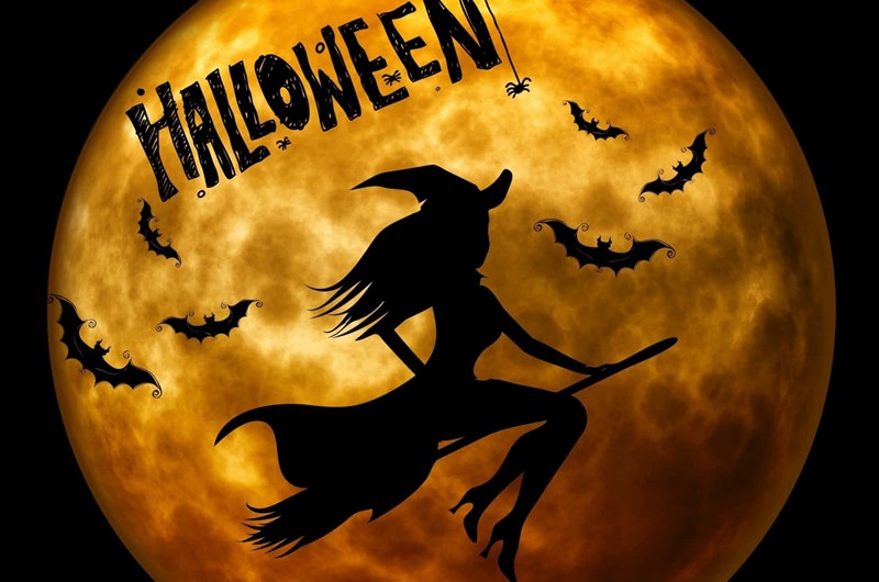 Witches + Wizards (Halloween #2) Photo