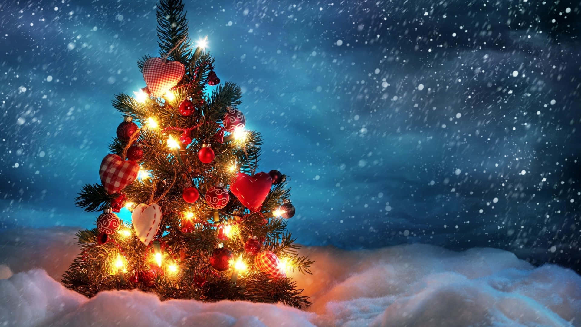 Christmas in July Photo