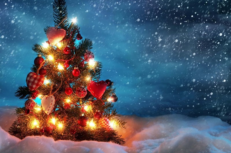 Christmas in July Photo