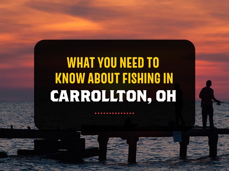 What You Need to Know About Fishing in Carrollton, OH