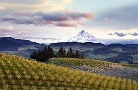 Hood River Vineyards