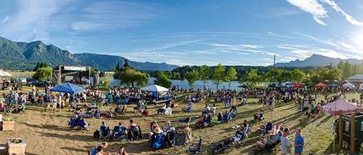 Gorge Blues and Brews Festival Photo