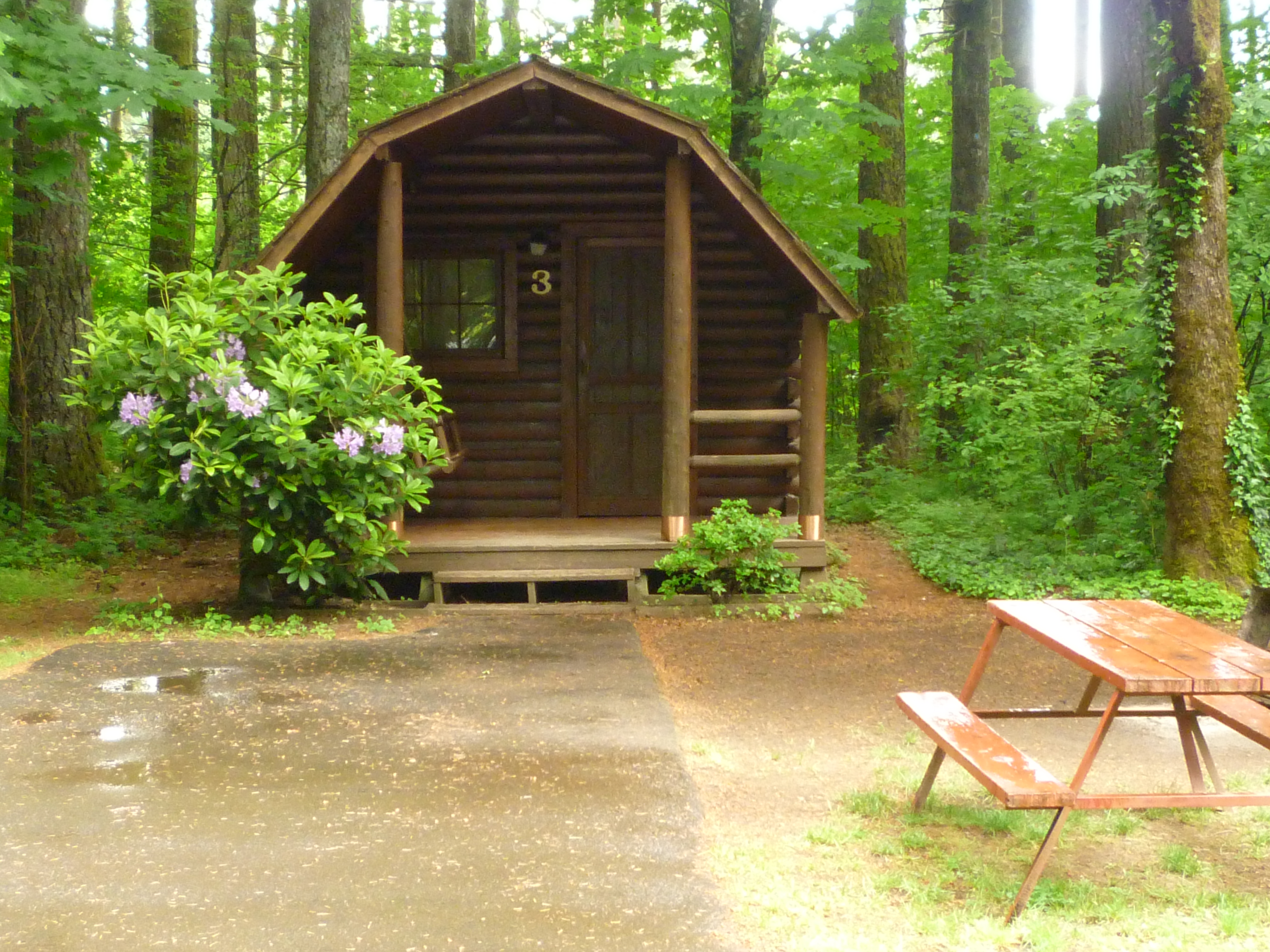 Camping Cabin (No Bathroom) Pictures Cascade Locks / Portland East