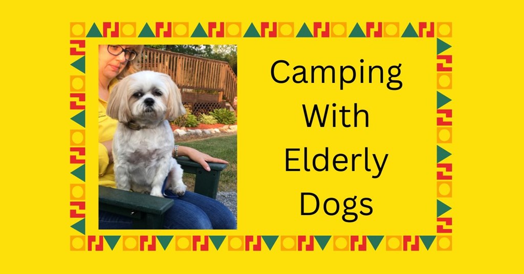 Camping With Elderly Dogs