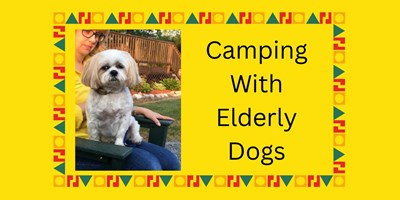 Camping With Elderly Dogs