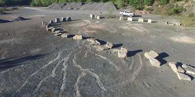 One of the Earths OLDEST known fossil forests is in Gilboa!!