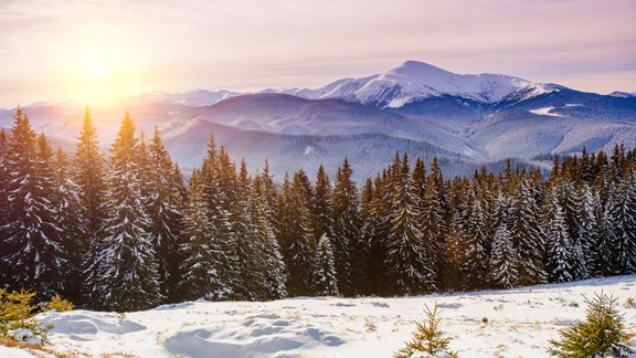 Page Mountain Snow Park