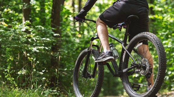 Biking in the Rogue River-Siskiyou National Forest