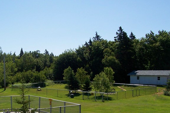 Kamp K-9 Dog Park