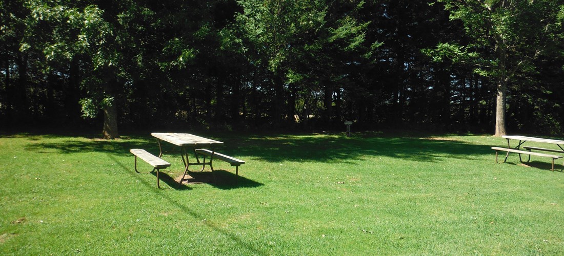 15 amp electric & water site. Fire pit & picnic table on each site.