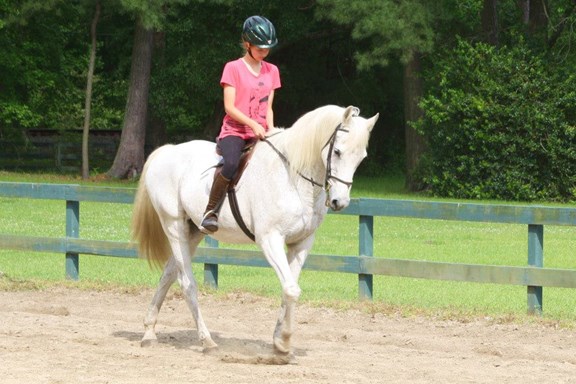 Horseback Riding