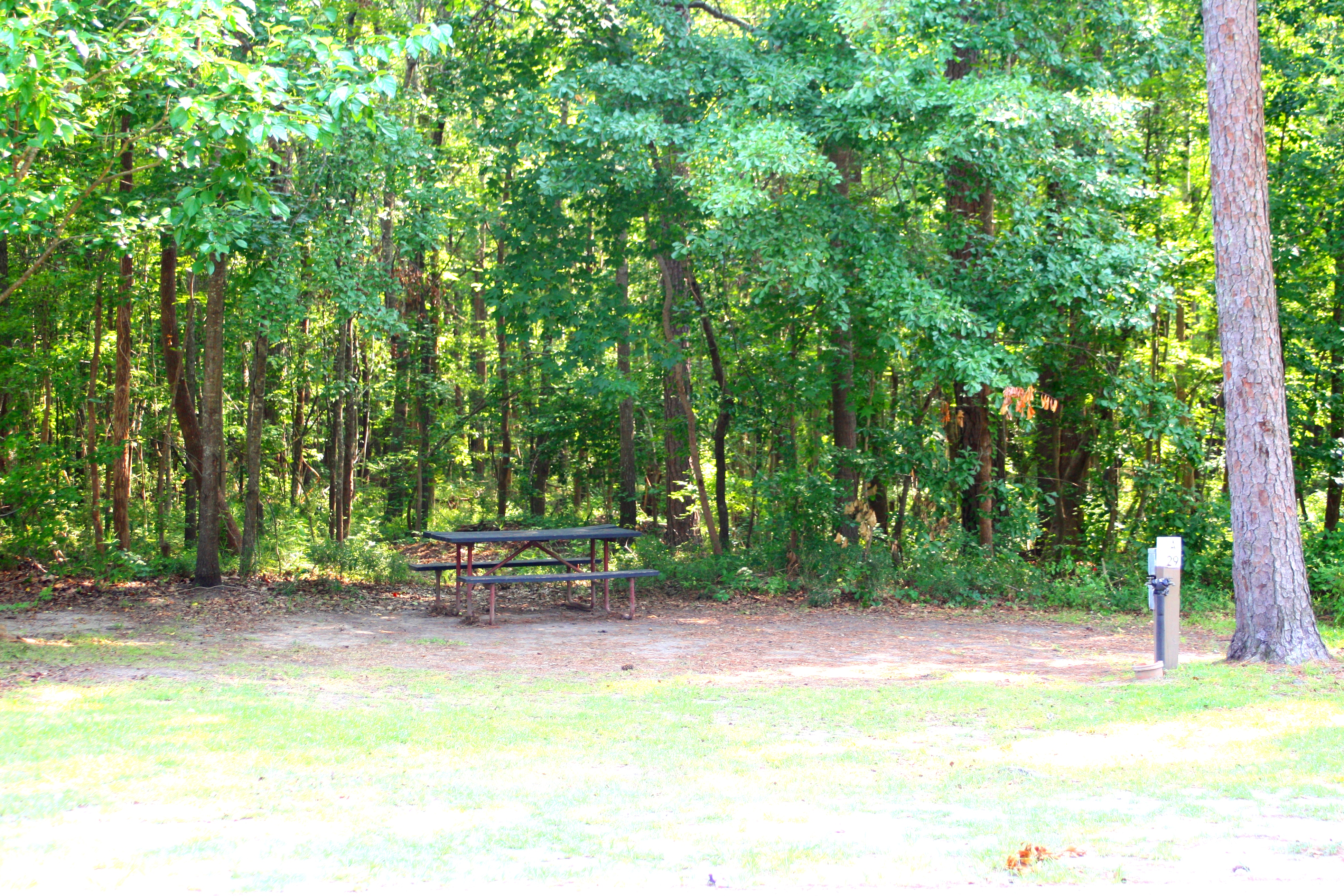 Ladson, South Carolina RV Camping Sites Charleston KOA Holiday