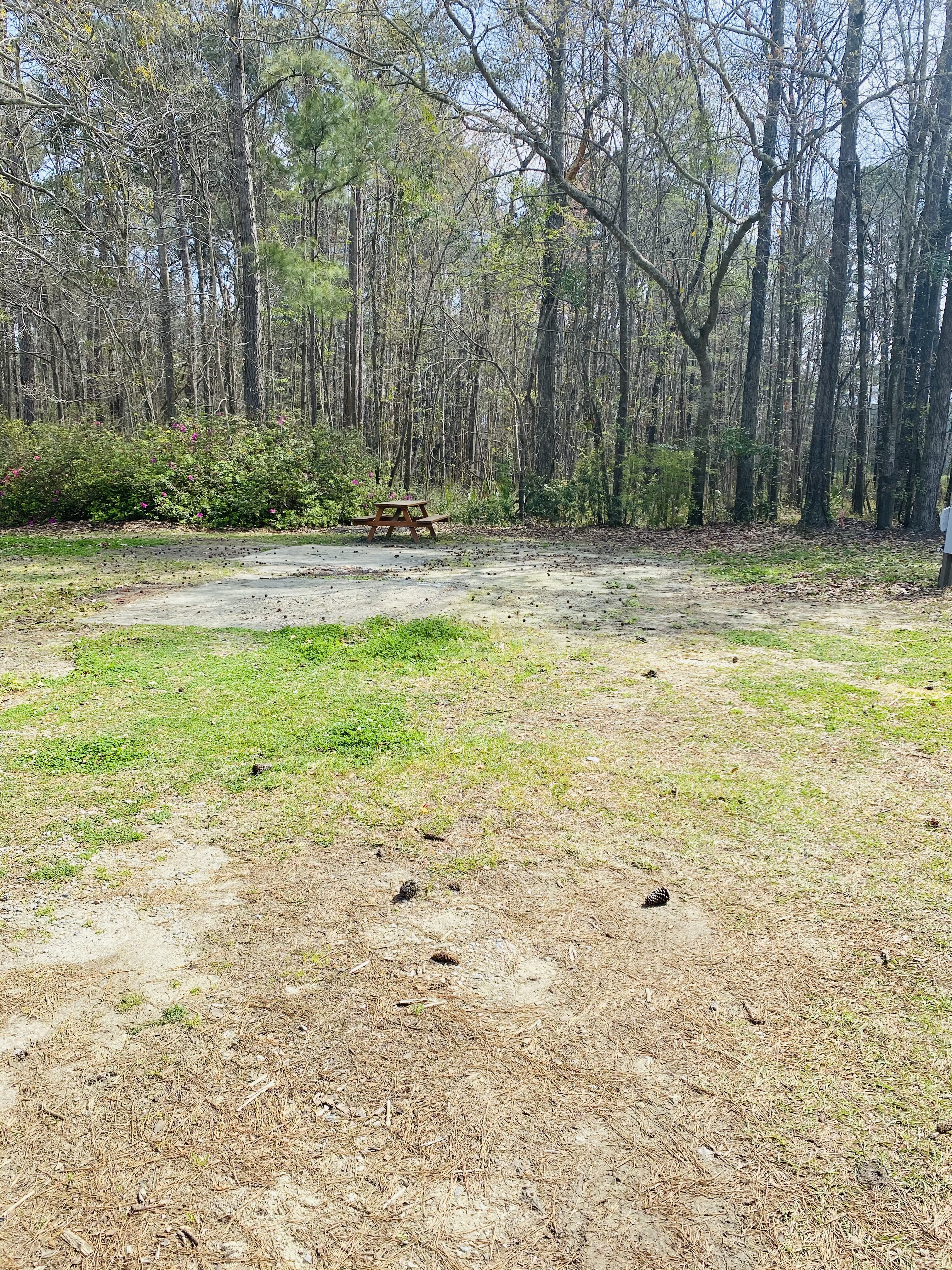 Ladson, South Carolina RV Camping Sites Charleston KOA Holiday