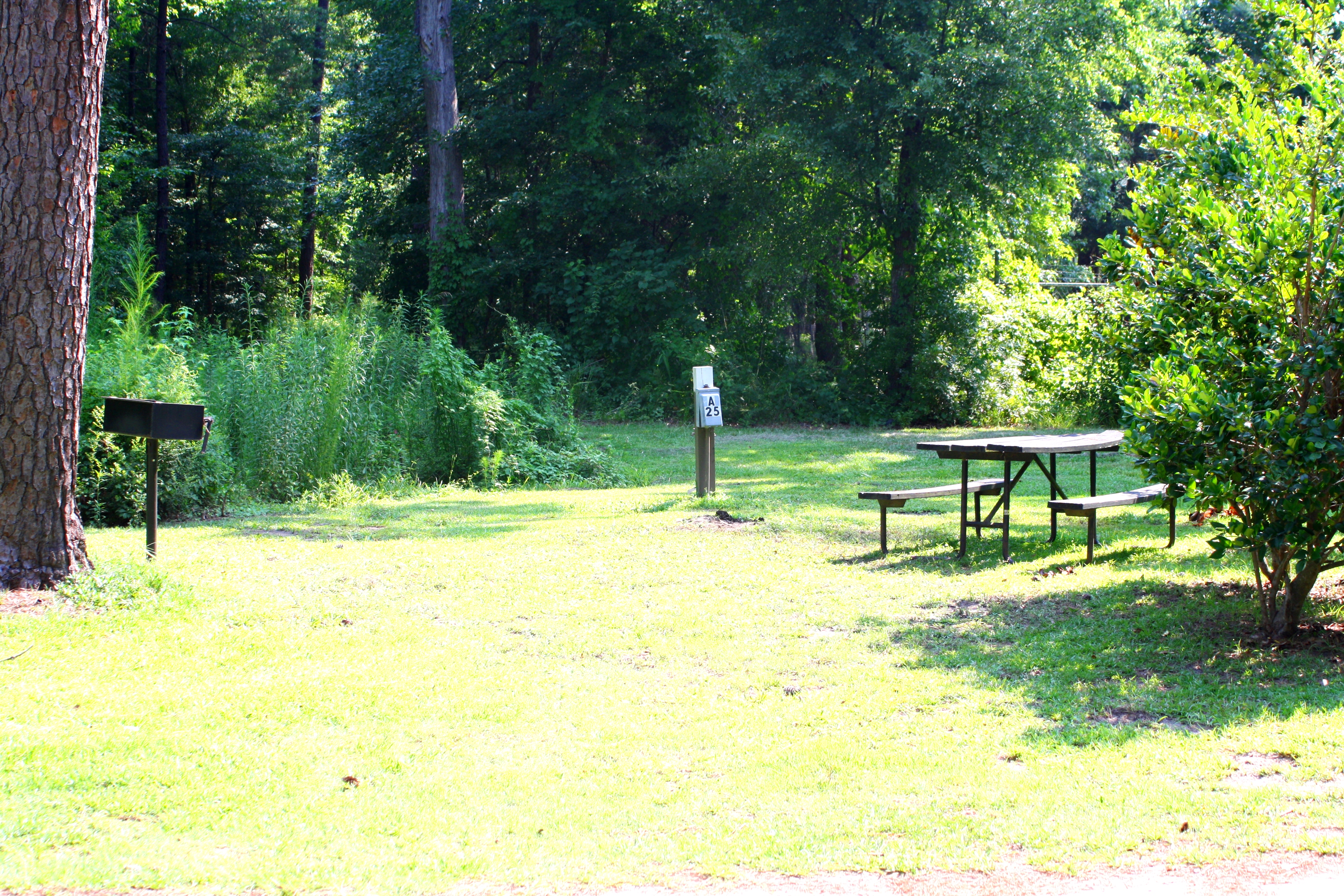 Ladson, South Carolina Tent Camping Sites Charleston KOA Holiday