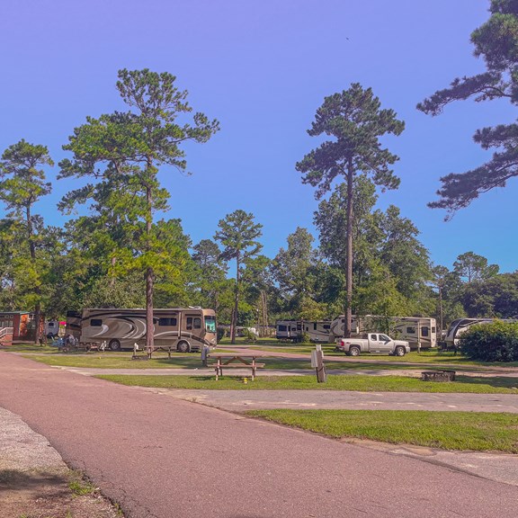Plan a trip to Georgetown, South Carolina
