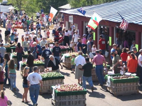 Peach and Apple orchards