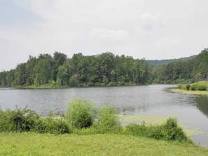 Walnut Creek Park