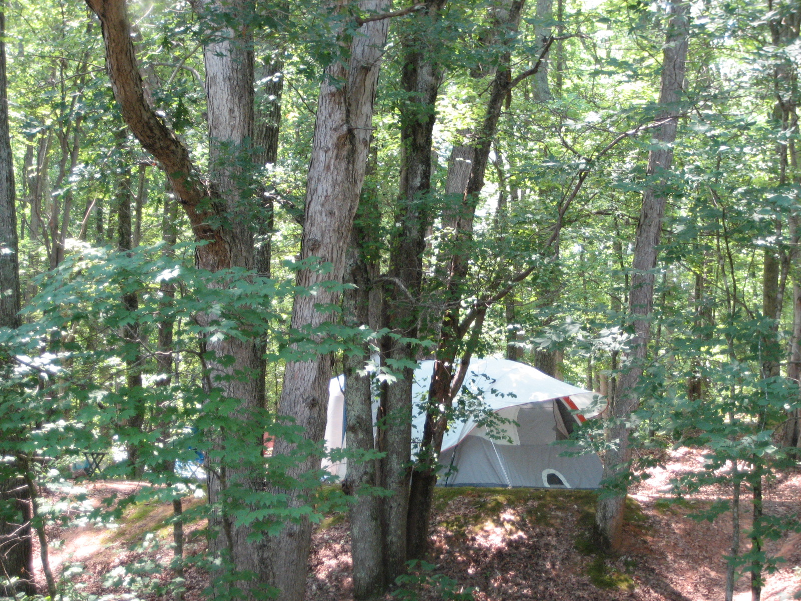 Primitive Tent Site