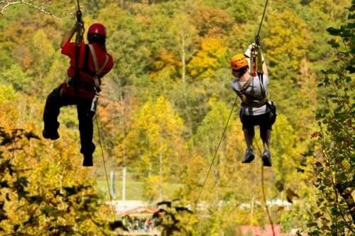 Local Zip Lines