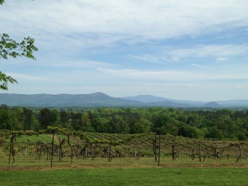 Morris Vineyard and Tennessee Mountain View Winery