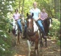Horseback riding