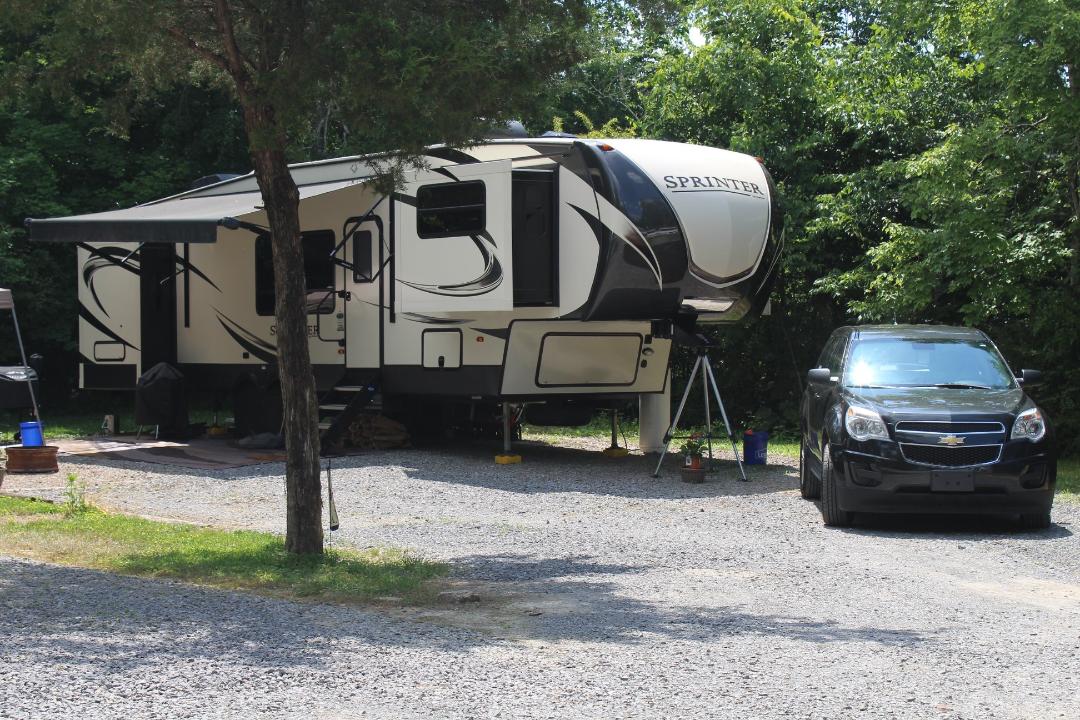 Site 54