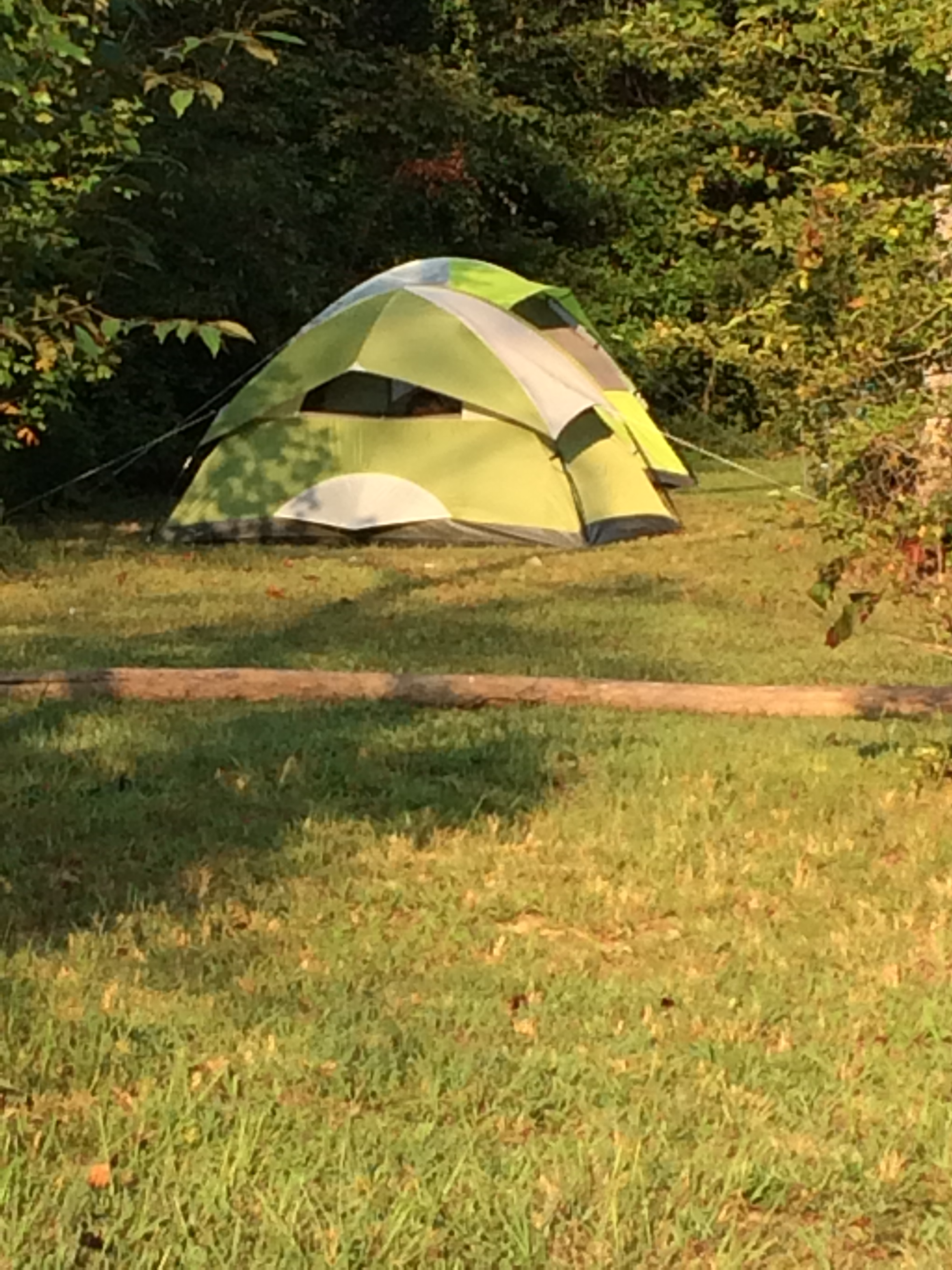 Primitive Tenting