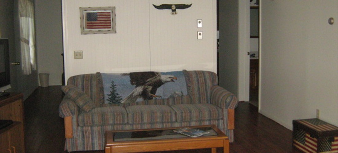eagle nest living room