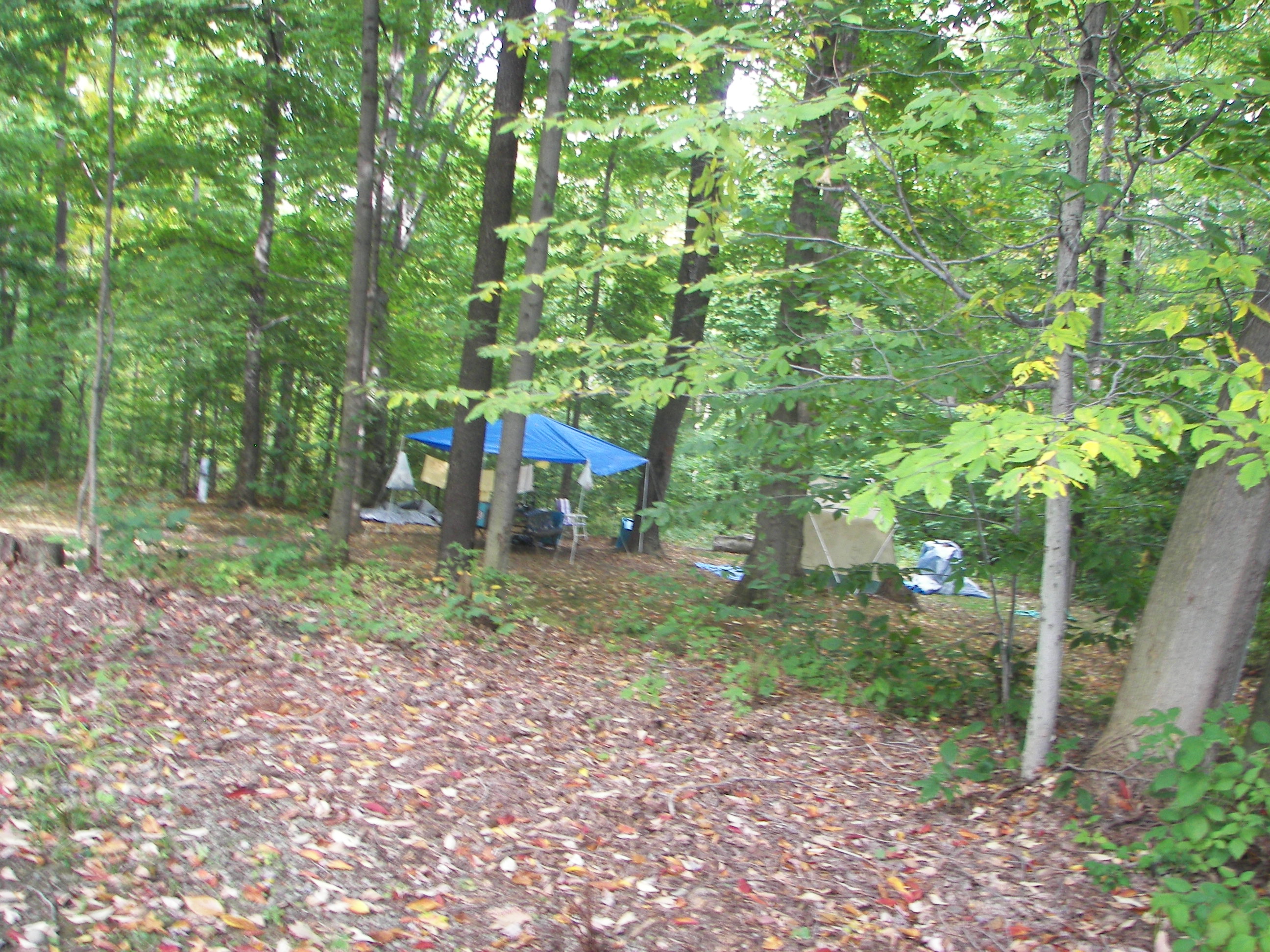 Dewittville, New York RV Camping Sites Chautauqua Lake KOA
