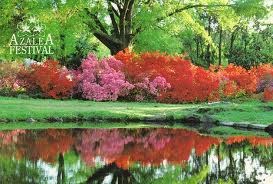 Azalea Festival Photo